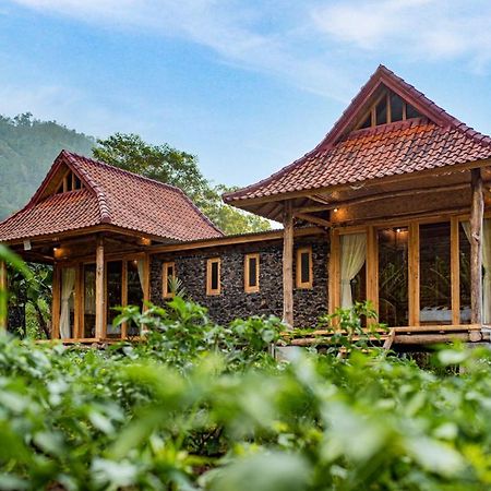 Pondok Manoka กินตามานี ภายนอก รูปภาพ
