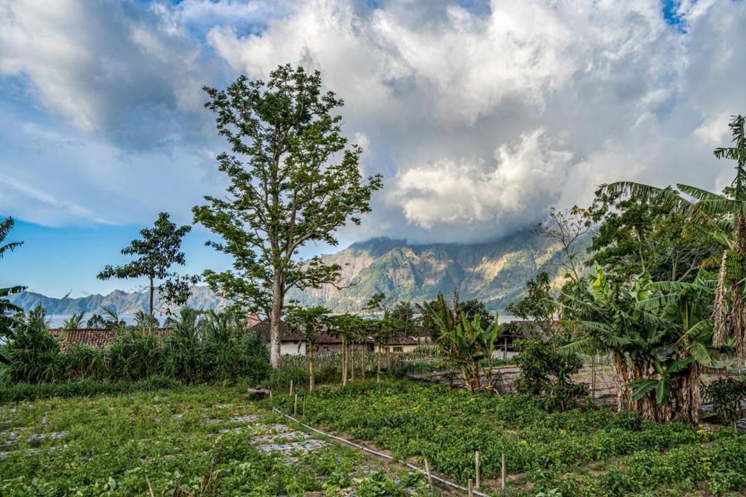 Pondok Manoka กินตามานี ภายนอก รูปภาพ