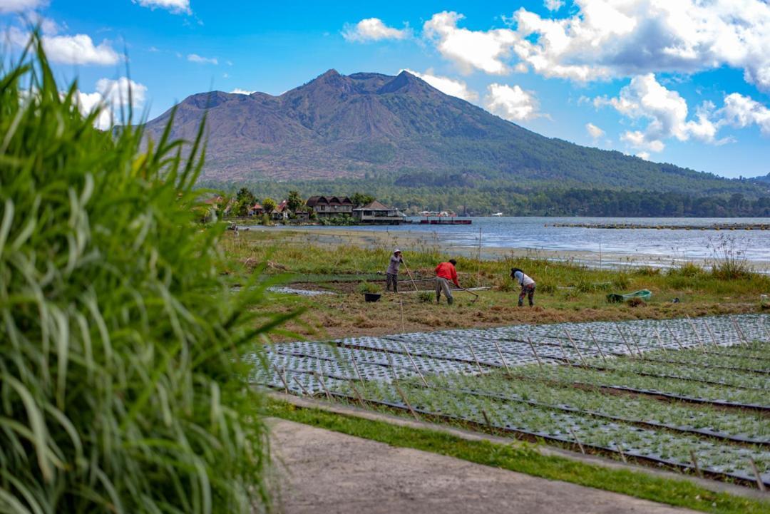 Pondok Manoka กินตามานี ภายนอก รูปภาพ