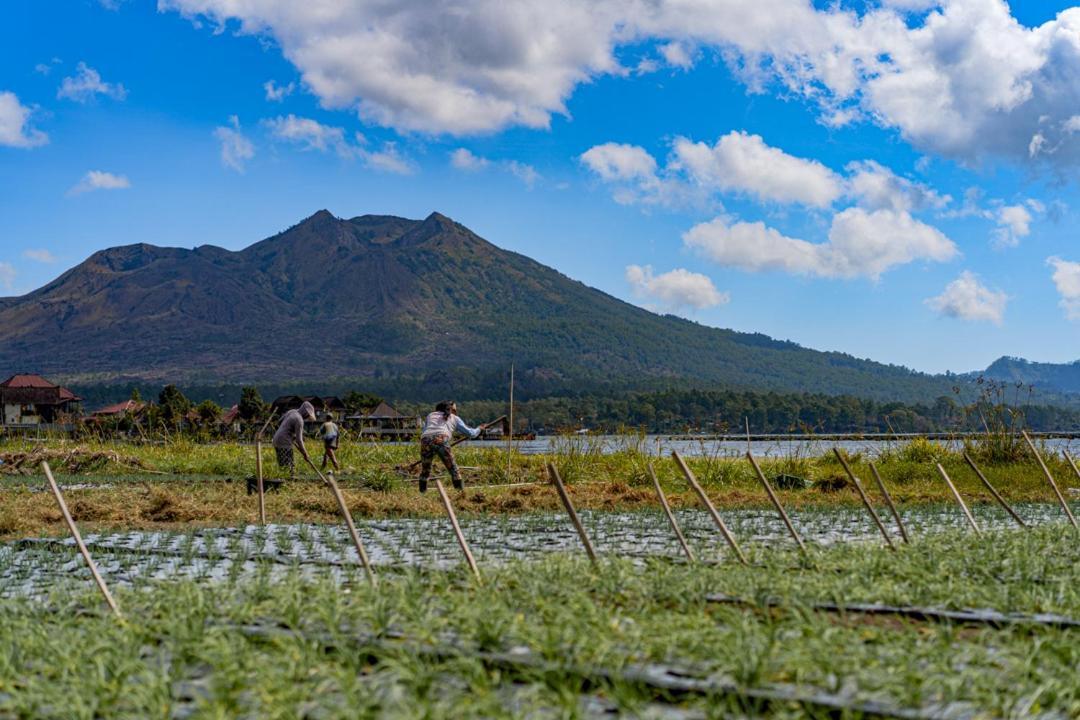 Pondok Manoka กินตามานี ภายนอก รูปภาพ