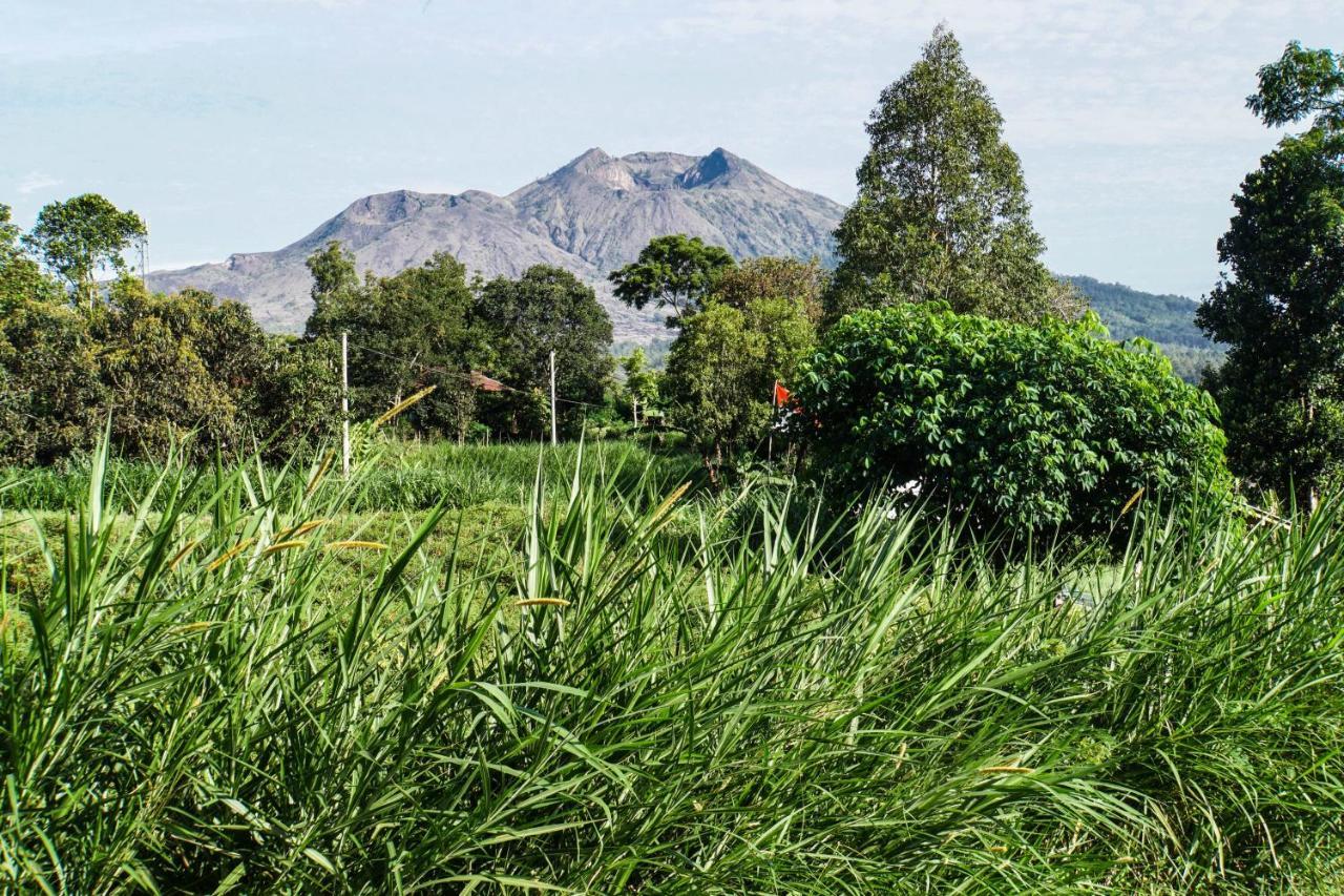 Pondok Manoka กินตามานี ภายนอก รูปภาพ